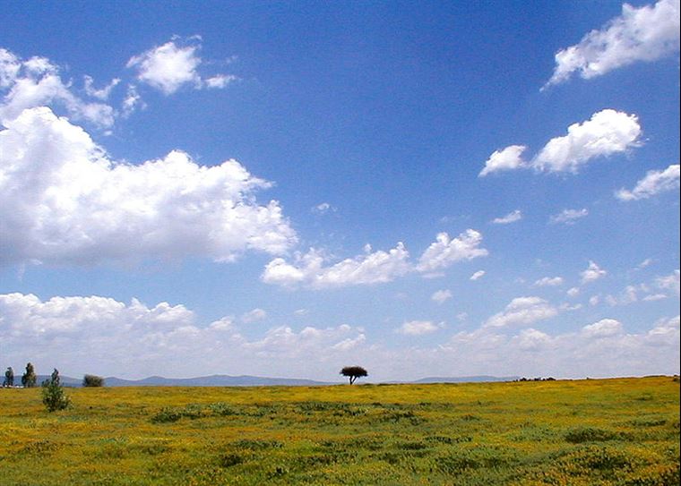 A field in central Mexico. Image via Wikimedia Commons.