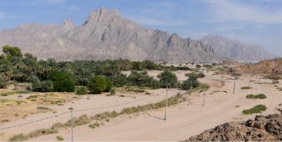 A panoramic view of the easternmost oasis in Wadi Sharma, facing eastwards. The continuation of the wadi inland is visible to the right of these mountains. Image and caption by Warren P. Aston.